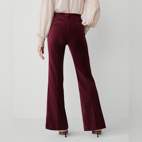 Ann Taylor The Petite Jayne Trouser Velvet Pant Mauve Rose Size 10P New - Picture 3 of 7